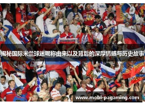 揭秘国际米兰球迷昵称由来以及背后的深厚情感与历史故事 揭秘国际米兰球迷昵称由来以及背后的深厚情感与历史故事