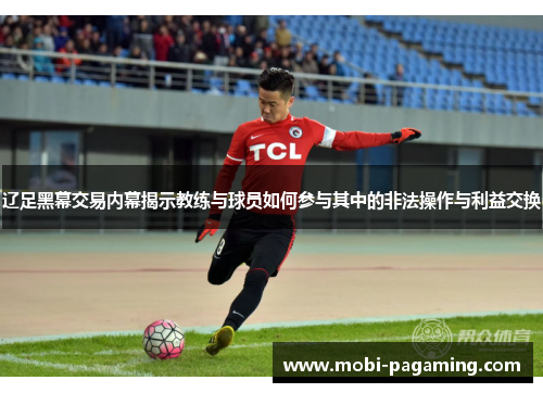 辽足黑幕交易内幕揭示教练与球员如何参与其中的非法操作与利益交换
