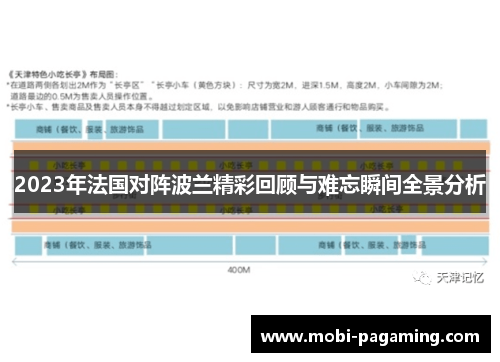 2023年法国对阵波兰精彩回顾与难忘瞬间全景分析