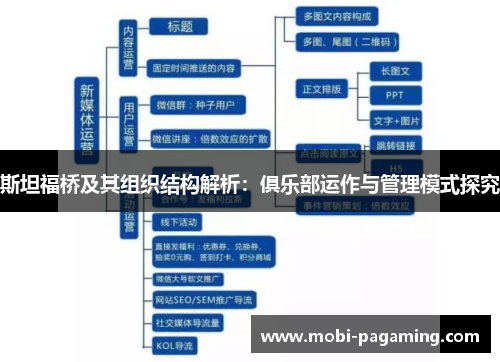 斯坦福桥及其组织结构解析：俱乐部运作与管理模式探究